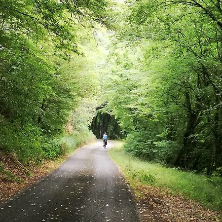 Anna Ferienwohnung Am Eifelsteig Appartement *
