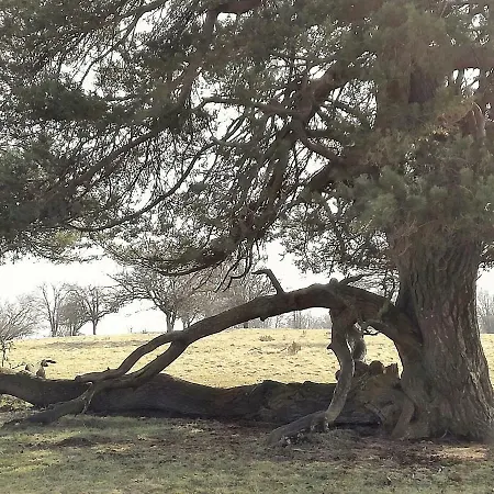 Anna Ferienwohnung Am Eifelsteig * Neroth