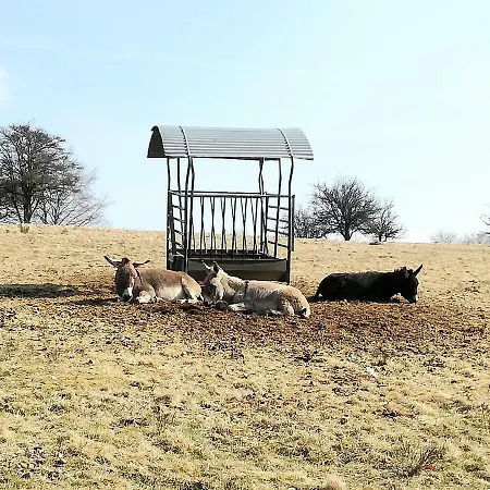 Anna Ferienwohnung Am Eifelsteig